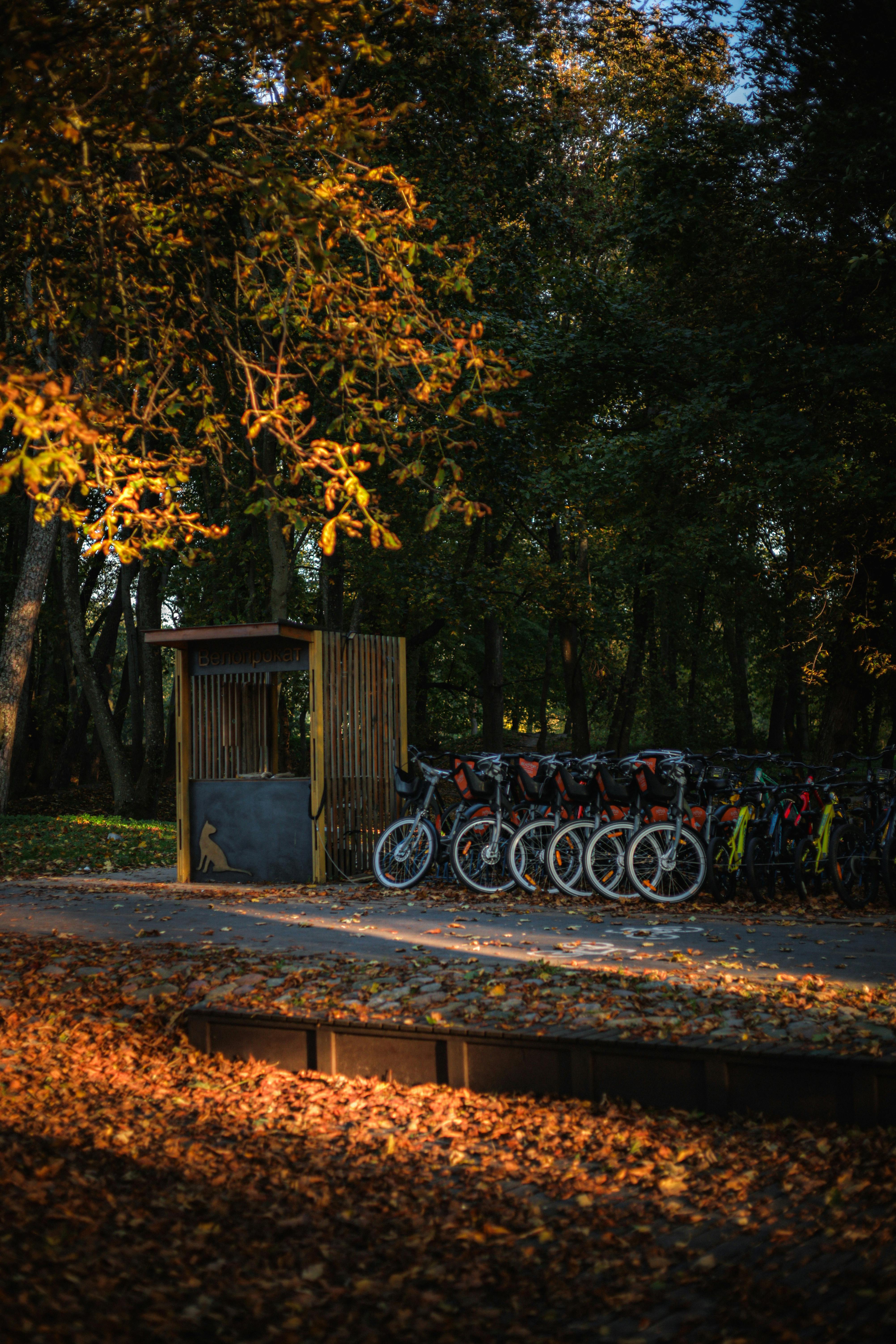 Covered Parking Spaces