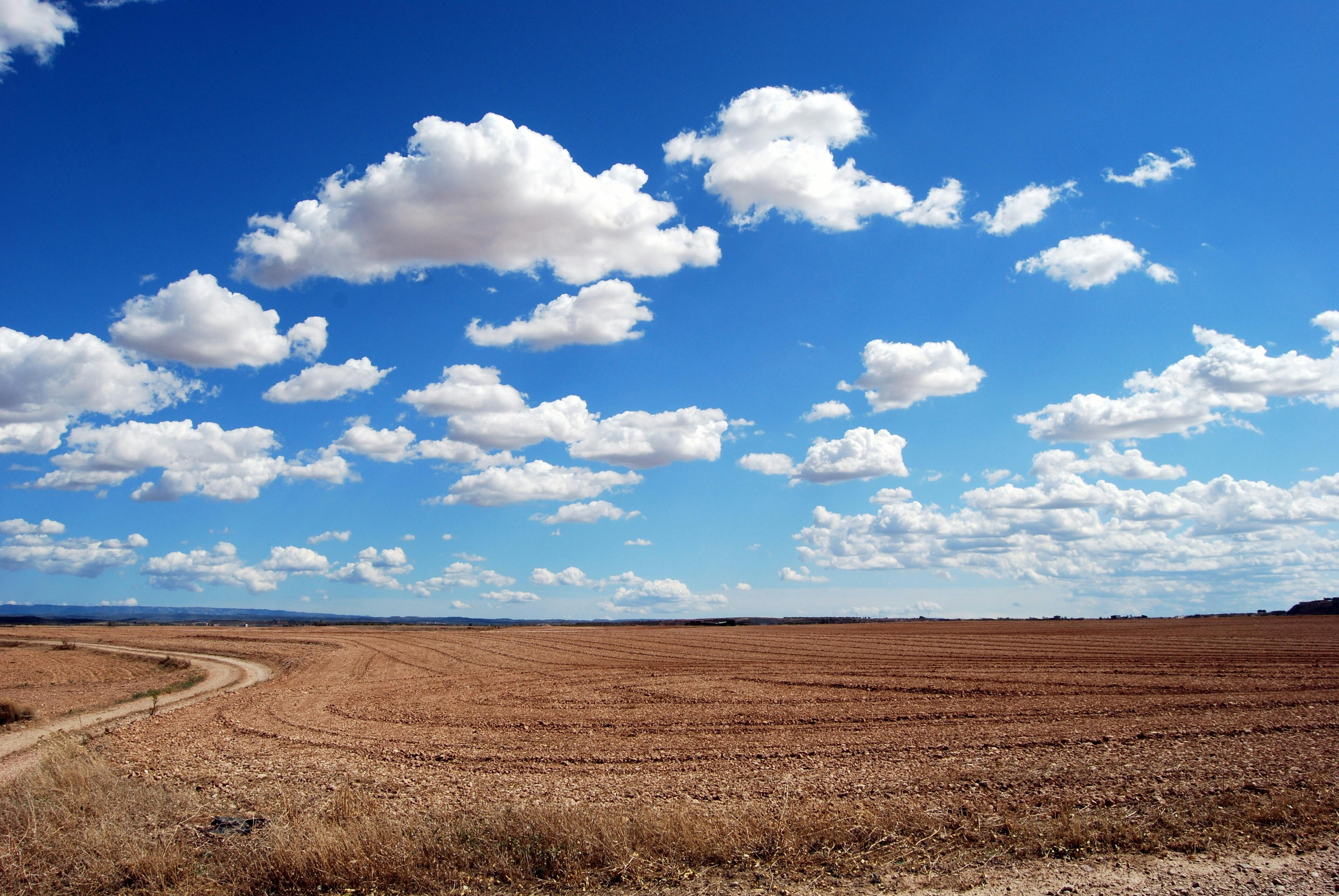 Agricultural Land Parcels