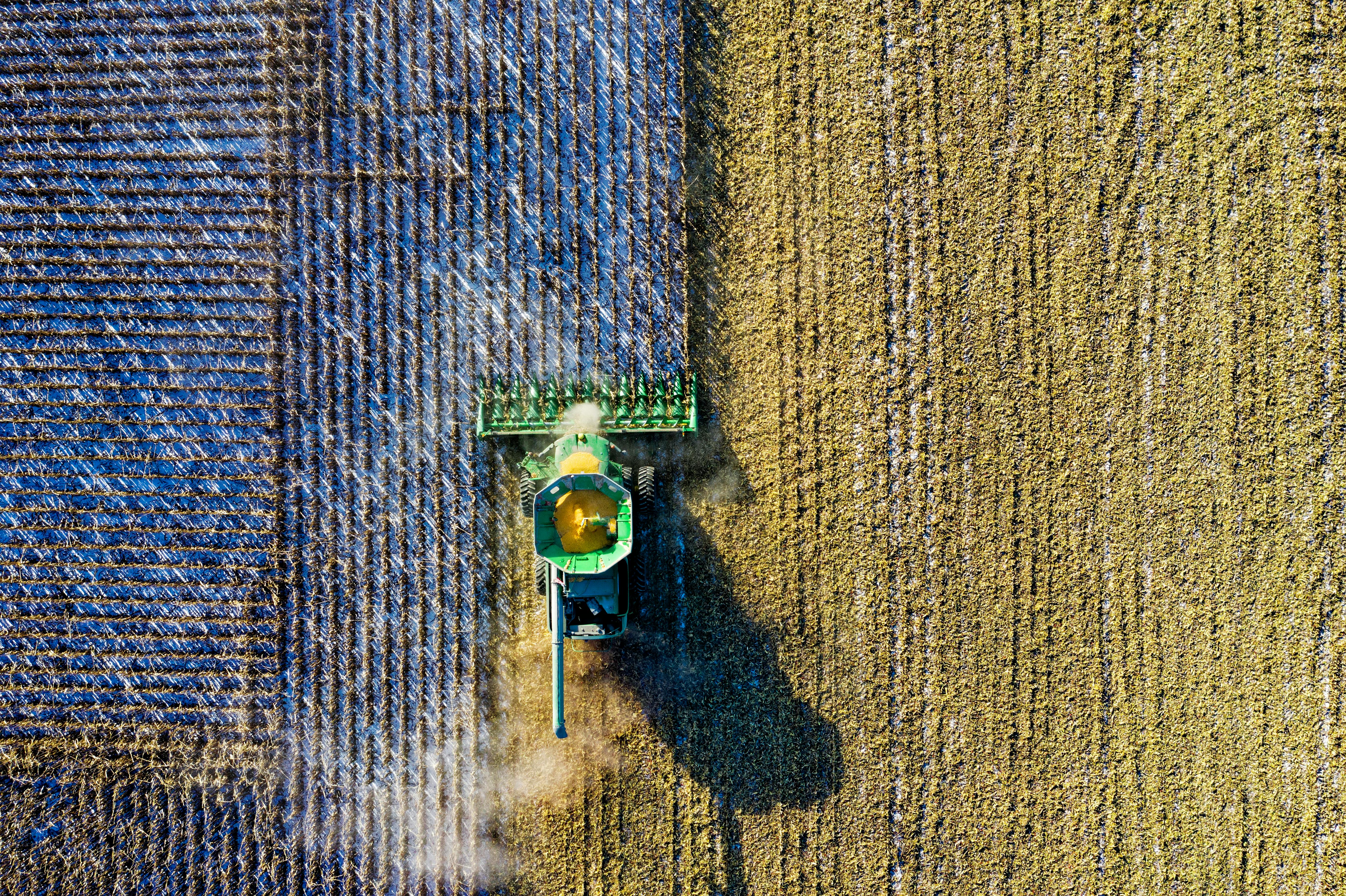 Irrigated Farmland Plots