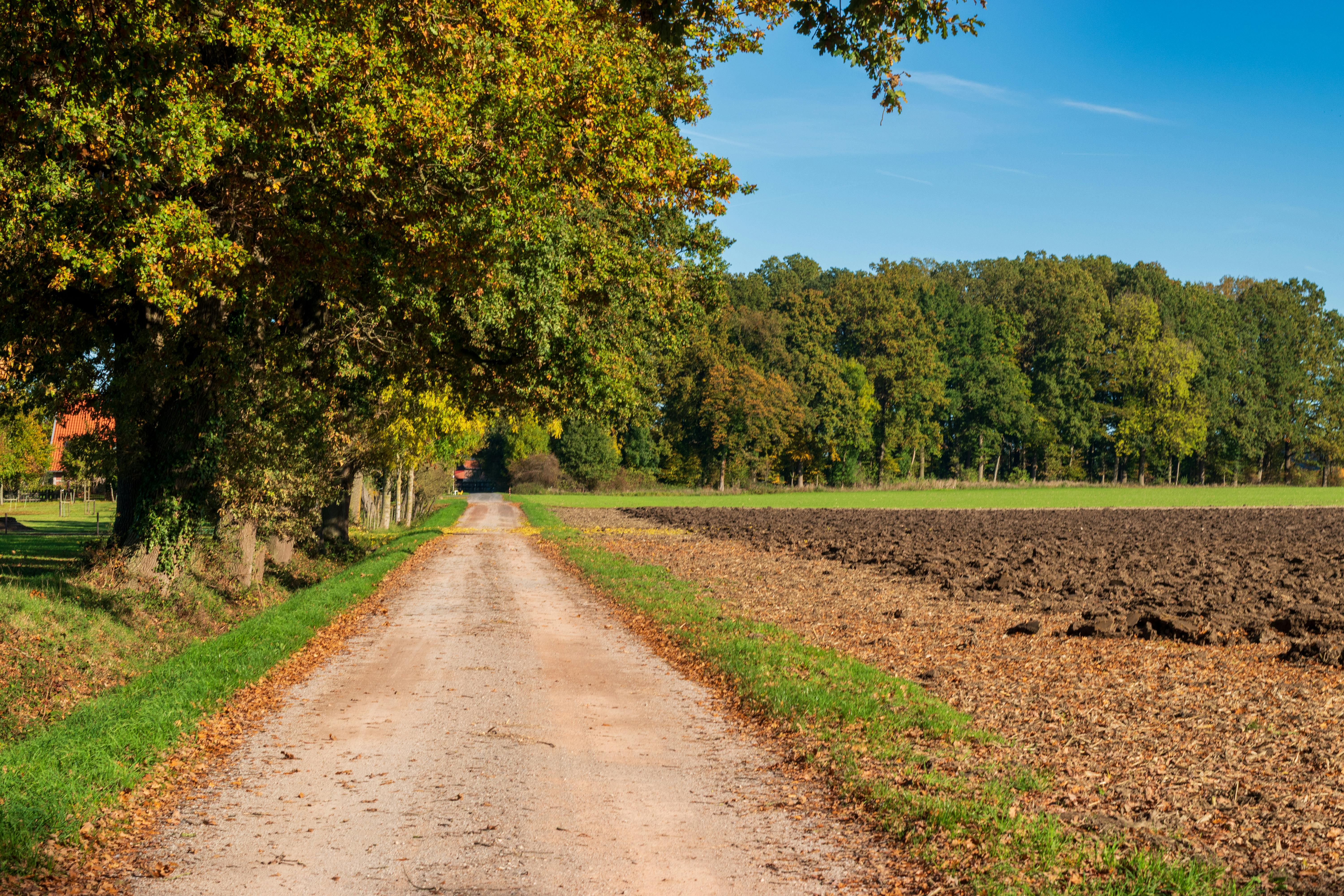 Agricultural and Farmland Leasing